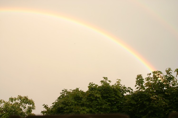 regenboog